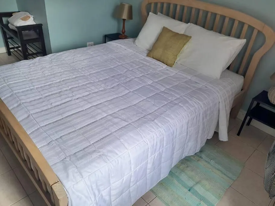 Vakantiehuis Rafeen Villa- Historic Villa With Pool Bridgetown Barbados